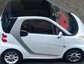 smart forTwo 451 mhd coupe passion Bianco - thumbnail 3