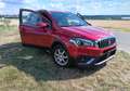 Suzuki SX4 S-Cross SX4 S-Cross 1,0 DITC shine shine Rot - thumbnail 2