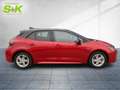 Toyota Corolla 2.0 Hybrid Team Deutschland *KAMERA*SHZ* Rouge - thumbnail 5