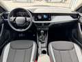 Skoda Kamiq 130 Jahre Premium Edition 1.0 TSI 115 PS DSG -A... Grau - thumbnail 5
