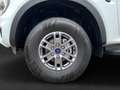 Ford Ranger XLT 4WD Doppelkabine 2.0 Klima+6 Gang+ZV Blanco - thumbnail 7
