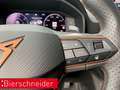 CUPRA Formentor 2.0 TDI DSG 4Drive 5-J-GARANTIE Kamera LED Grau - thumbnail 13