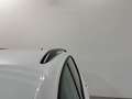 Volkswagen Tiguan 1.5 TSI Edition 96kW Blanco - thumbnail 15