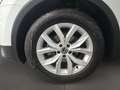 Volkswagen Tiguan 2.0 TDI BMT Highline ACC Navi LED PDC SHZ Weiß - thumbnail 5
