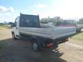 Fiat Ducato cassone fisso Bianco - thumbnail 5