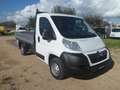 Fiat Ducato cassone fisso Bianco - thumbnail 3
