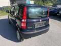 Fiat Panda Panda 1,2 69 Lifestyle/ KLIMA/ NUR 113TKM Blau - thumbnail 5