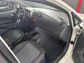SEAT Ibiza Lim. Stylance / Style*Tüv Neu*Aus 1.Hand* Blanc - thumbnail 15