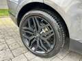 Land Rover Range Rover Sport Range Rover Sport II 3.0 tdV6 HSE Dynamic TETTO NA Grau - thumbnail 5