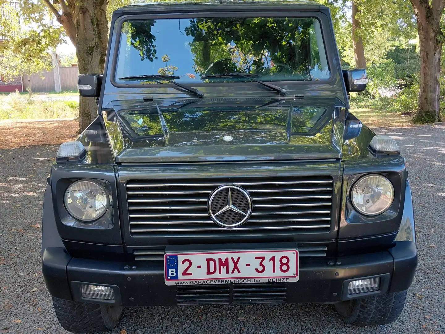 Mercedes-Benz G 270 Classe G 270 CDI Grau - 2