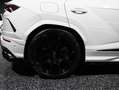 Lamborghini Urus Urus *23 ZOLL*FOND Entertainment*TAUSCH*LEASING* Weiß - thumbnail 7