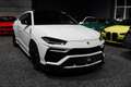 Lamborghini Urus Urus *23 ZOLL*FOND Entertainment*TAUSCH*LEASING* Weiß - thumbnail 3