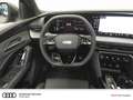 Audi SQ5 SUV TFSI quattro Matrix Headup S-Modell Grijs - thumbnail 15