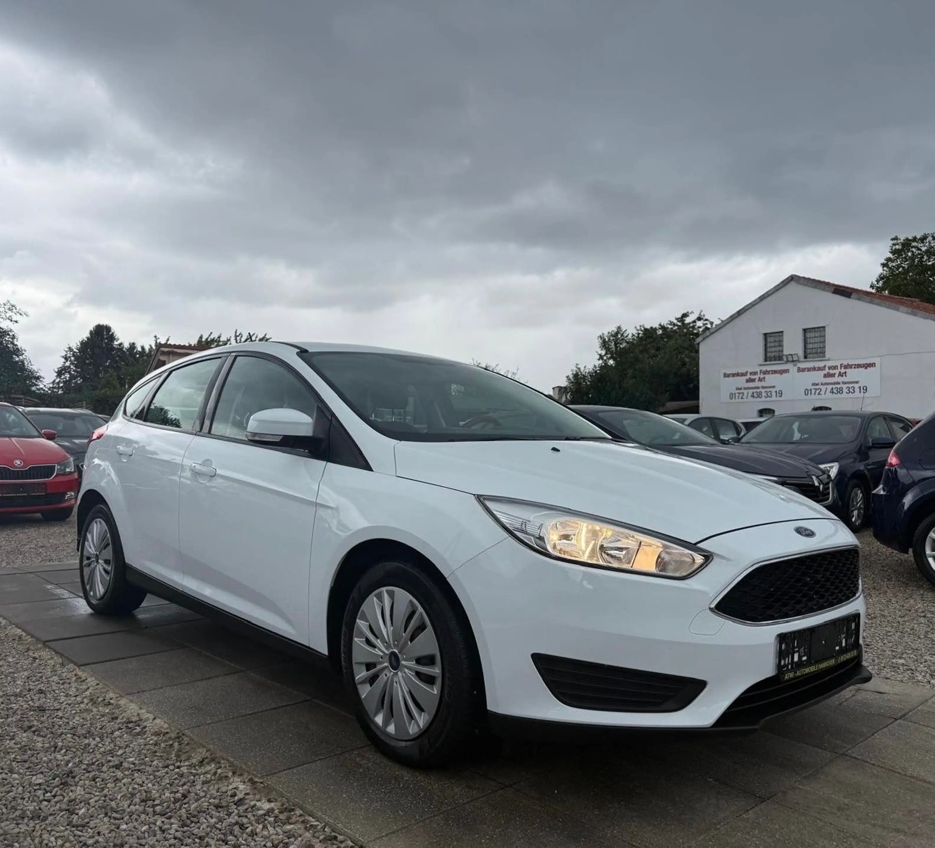 Ford Focus 1,6 Trend Zahnriemen Neu Sport Lenkrad