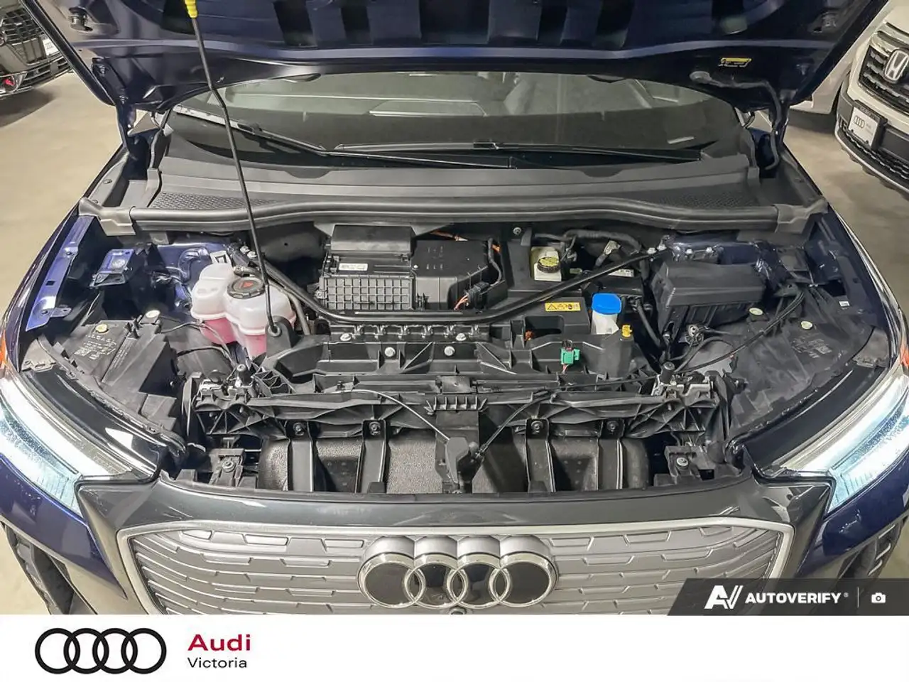 Audi Q4 e-tron fotografie Audi Q4 e-tron