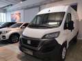 Fiat Ducato eDucato 35 122CV PM-TM Furgone battery 47kWh Bianco - thumbnail 2