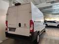 Fiat Ducato eDucato 35 122CV PM-TM Furgone battery 47kWh Bianco - thumbnail 3
