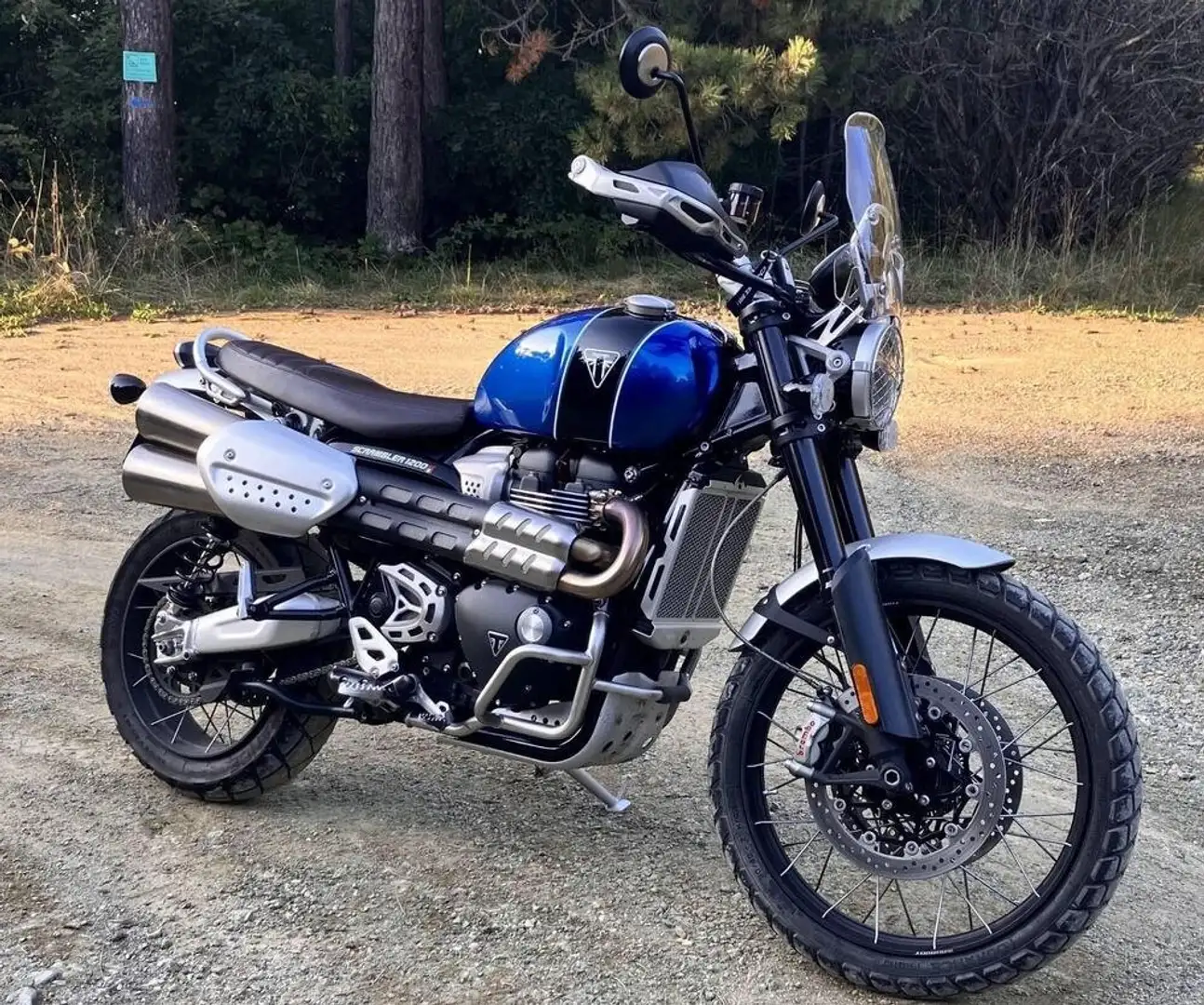Triumph Scrambler Niebieski - 1