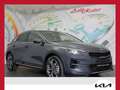 Kia XCeed Xceed 1,4 TGDI GPF Gold *LED, NAVI, UVM* Grau - thumbnail 1