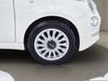 Fiat 500 500 III 2015 1.0 hybrid Dolcevita 70cv Bianco - thumbnail 14