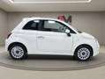 Fiat 500 500 III 2015 1.0 hybrid Dolcevita 70cv Bianco - thumbnail 7