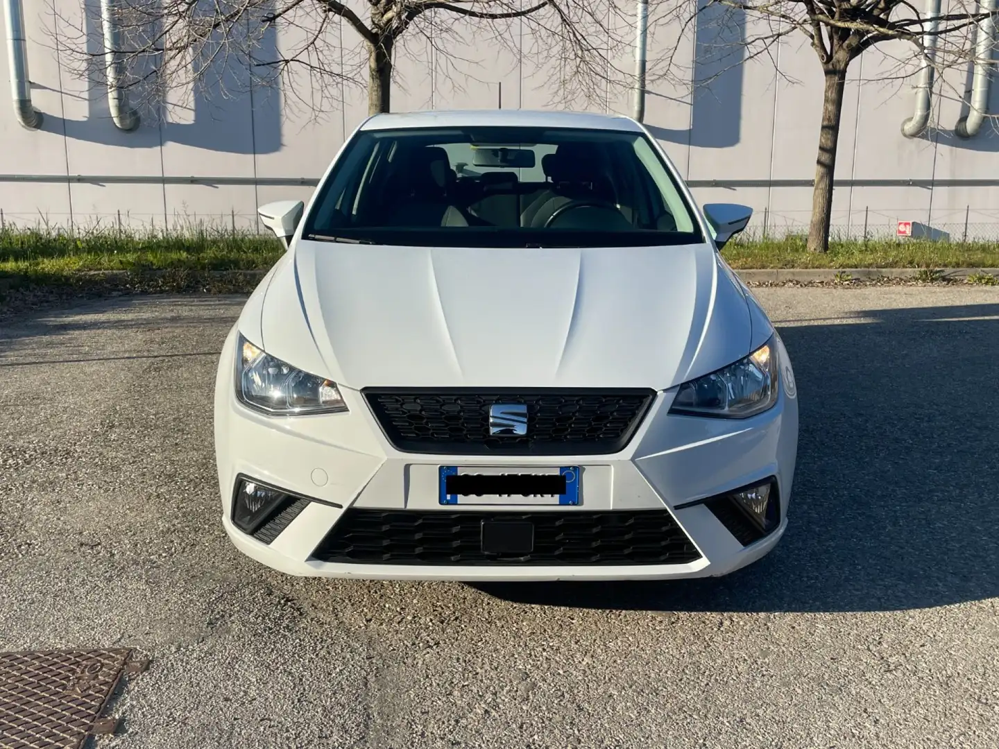 SEAT Ibiza 1.6 TDI 95 CV 5 porte Business Gris - 2