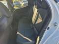 Toyota Yaris Yaris 1.5 Hybrid 5 porte Business Bianco - thumbnail 10