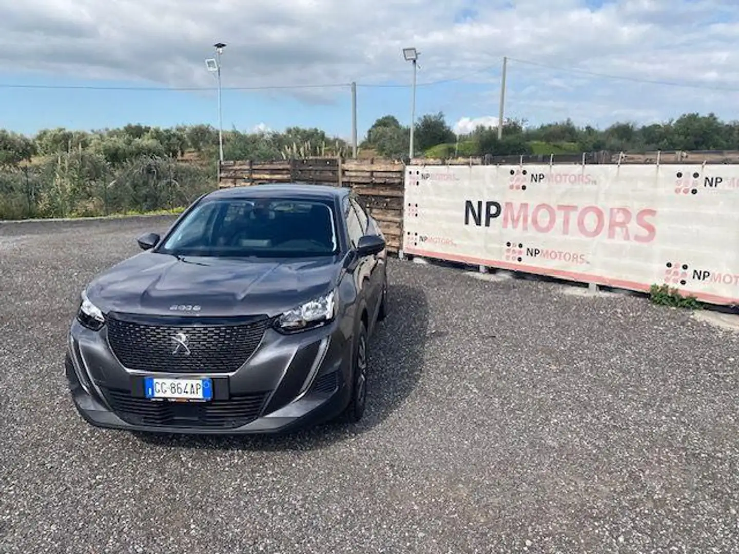 Peugeot 2008 BlueHDi 100 S&S Active Gris - 1