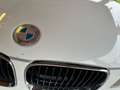 BMW 116 116d 3p 2.0 Futura 116cv dpf Bianco - thumbnail 7