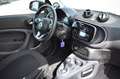 smart forTwo fortwo coupe electric drive / EQ Blau - thumbnail 26