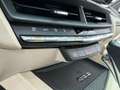Cadillac CTS CT4 2.0T Aut.Luxury/LED/Glasd/Bose/Lenkr+Shz Bleu - thumbnail 24