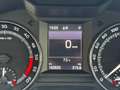 Skoda Octavia Wagon 2.0 tdi Scout 4x4 184cv dsg Grigio - thumbnail 13