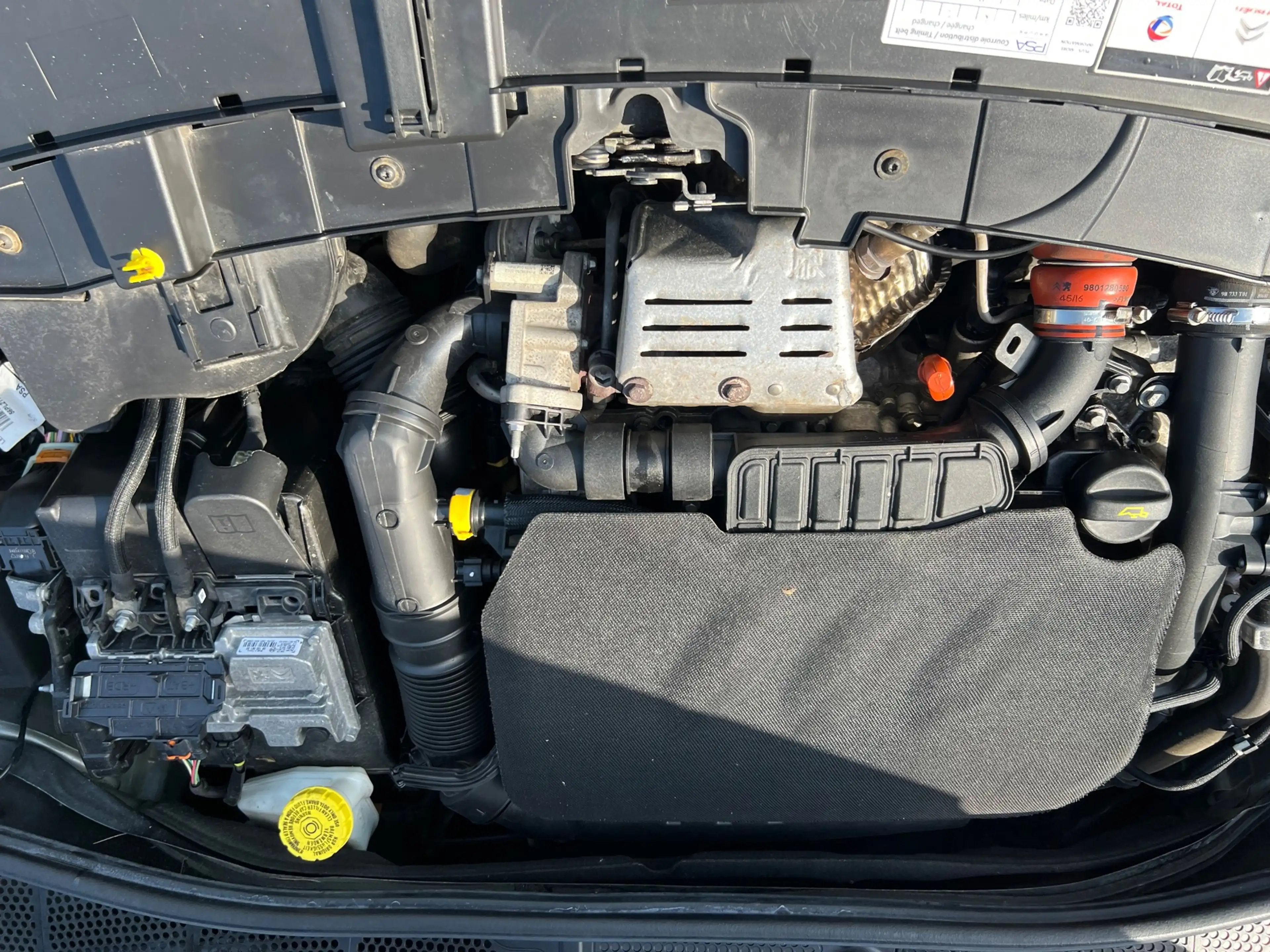 Citroen C4 Cactus 1.2 PureTech Business Plus — photo 14