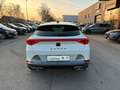 CUPRA Formentor VZ e-Hybrid  AHK , Panoramadach, Weiß - thumbnail 7