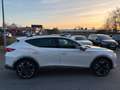 CUPRA Formentor VZ e-Hybrid  AHK , Panoramadach, Weiß - thumbnail 4