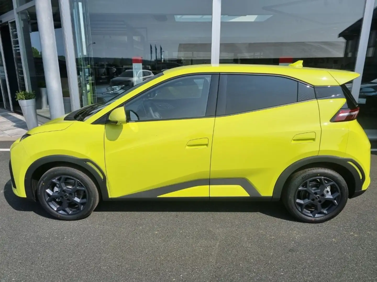 BYD Dolphin Surf Boost Зелёный - 2