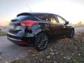 Ford Focus 5p 1.6 Titanium Gpl 120cv - thumbnail 6