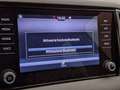 Skoda Karoq 1.6 TDI SCR DSG Style Bianco - thumbnail 10