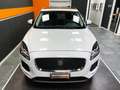 Jaguar E-Pace 2.0d i4 180cv AWD 4x4 Dynamic S Automatica Weiß - thumbnail 5