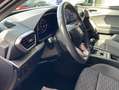 SEAT Leon 2.0 TDI FRSHZ - NAVI - ACC - LED - KAMERA Rot - thumbnail 18