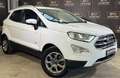 Ford EcoSport 1.5 Ecoblue 125 CV Start&Stop AWD Titanium Bianco - thumbnail 2