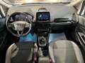Ford EcoSport 1.5 Ecoblue 125 CV Start&Stop AWD Titanium Bianco - thumbnail 5