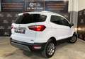 Ford EcoSport 1.5 Ecoblue 125 CV Start&Stop AWD Titanium Bianco - thumbnail 3