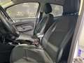 Ford EcoSport 1.5 Ecoblue 125 CV Start&Stop AWD Titanium Bianco - thumbnail 10