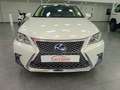 Lexus CT 200h Business Weiß - thumbnail 8