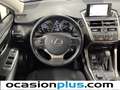 Lexus NX 300 300h Corporate 2WD Rojo - thumbnail 22