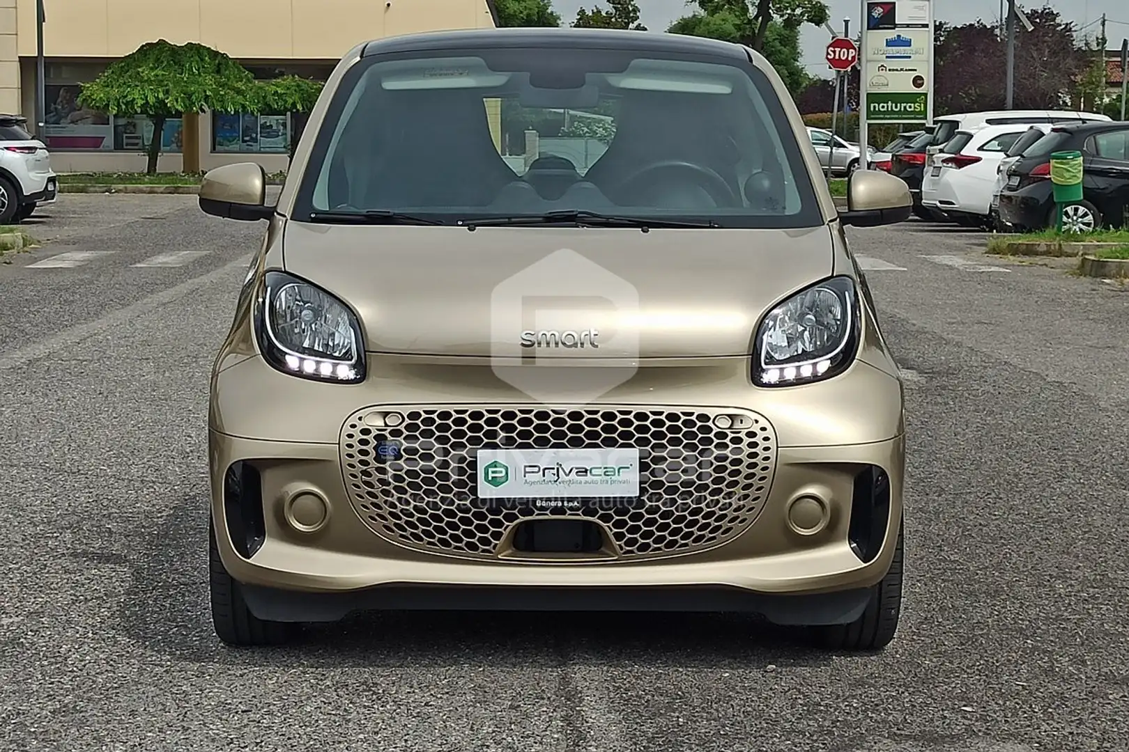 smart forTwo fortwo EQ Pulse NEOPATENTATI TETTO Oro - 2