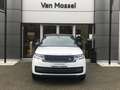 Land Rover Range Rover SWB P550e Autobiography AWD Auto. 24MY Blanc - thumbnail 7