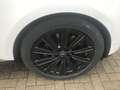 Land Rover Range Rover SWB P550e Autobiography AWD Auto. 24MY Blanc - thumbnail 10