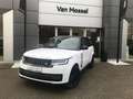 Land Rover Range Rover SWB P550e Autobiography AWD Auto. 24MY Blanc - thumbnail 1